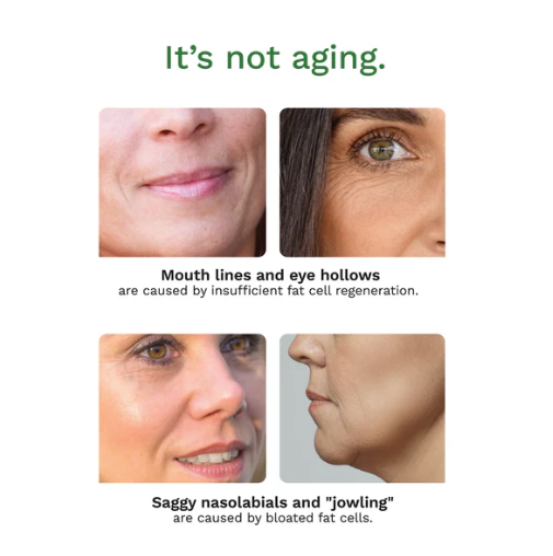 Adipeau - Volume Cream